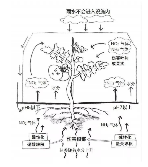 土壤过度施肥造成的障碍有哪些？如何避免？