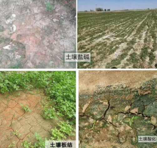 土壤板结的原因是什么？怎么解决？