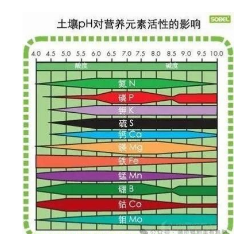 健康土壤的主要指标