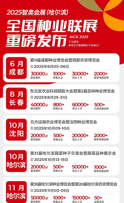 一展两期 新跃升 