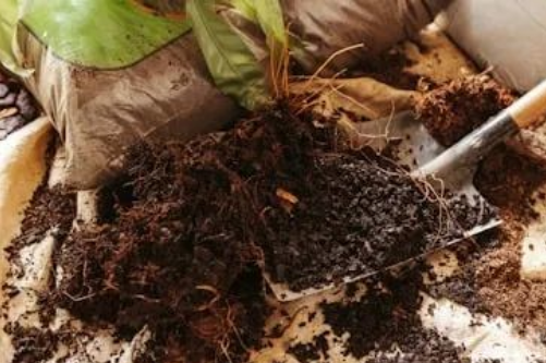 警惕！土壤退化的6大元凶