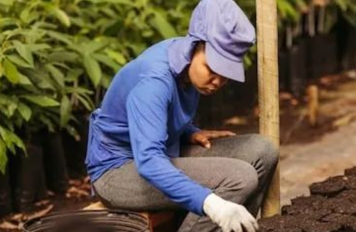 警惕！土壤退化的6大元凶