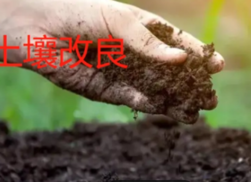 土壤、土壤污染和土壤修复