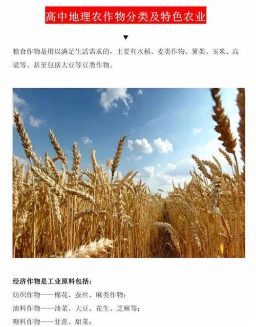 如何让你的土壤更肥沃？这些方法不能错过！