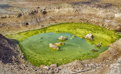 石油污染土壤的生物修复技术现状与展望
