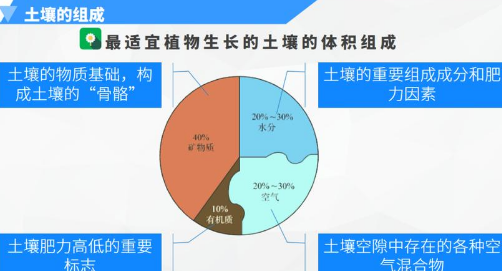 如何让土壤更健康？这3种技术让你的作物更高产！