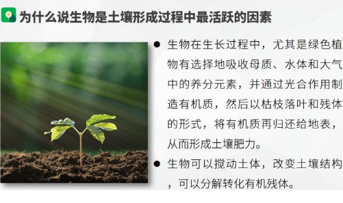 如何让土壤更健康？这3种技术让你的作物更高产！