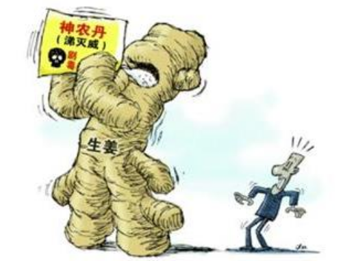 食品安全，从土壤改良开始→
