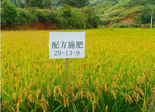 食品安全，从土壤改良开始→
