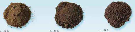 土壤的肥力→