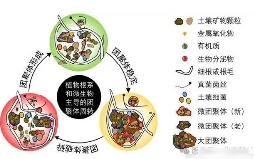土壤团聚体你认识多少？
