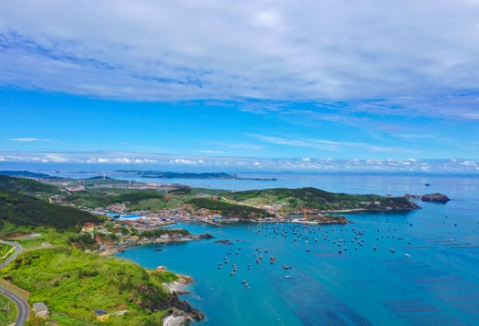 长海海螺，鲜味崛起，璀璨未来