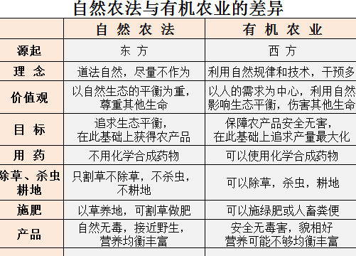农作物种植的土壤改良技巧，增产增收的秘密！