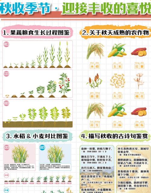 农作物种植的土壤改良技巧，增产增收的秘密！