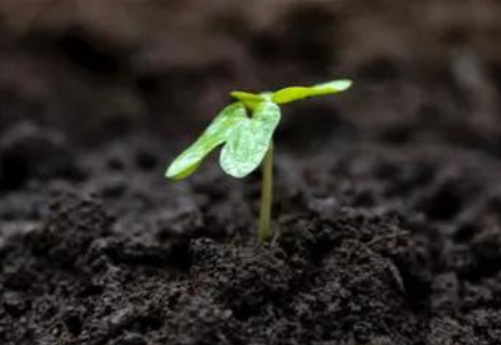 土壤问题这么严重了？你是不是会有这样的疑问？