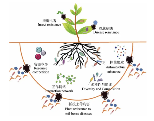 土壤微生物影响土壤健康的作用机制