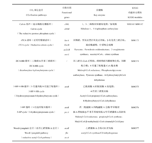 土壤微生物影响土壤健康的作用机制！
