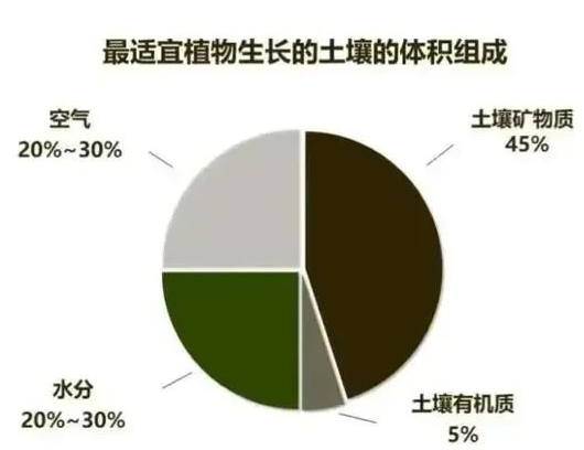 破解土壤肥力密码：从“土地有劲”到科学培肥的实践指南