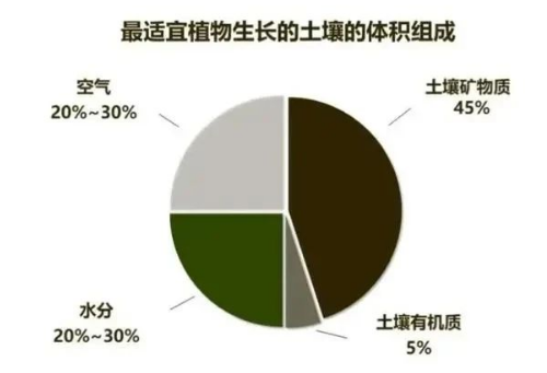 “土壤肥力”到底是什么？提高肥力提高的什么？一句话弄懂了→