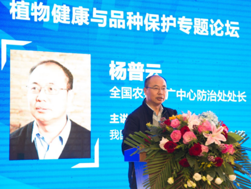 不藏了！2025沈阳种业博览会亮点大公开，助您低成本撬动高增长！