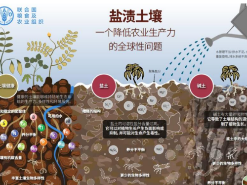 土壤健康，从这六个方面分析