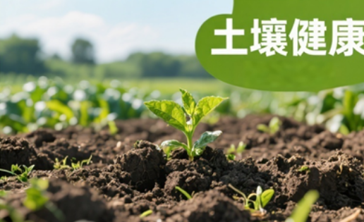 【土壤修复】健康的土壤才是提高农产品产量和品质的保障！