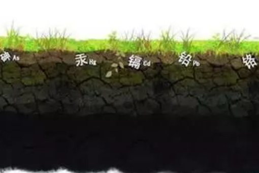 土壤：地球最柔软的皮肤