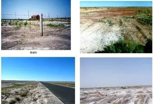 看过来！土壤缺乏有机质，“后果”很严重！