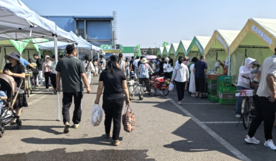 从300万吨交易量到30个展位：超级枢纽的终端破局