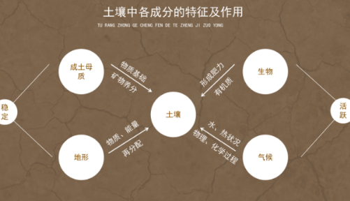 别再盲目施肥！这十个方法让你摸清土壤肥力