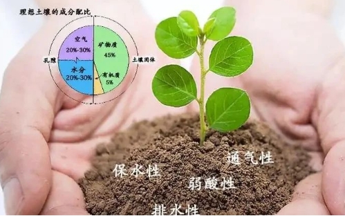 盐碱化土壤改良措施！